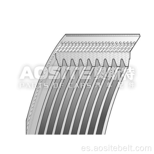 Correa v-ribed para DAF XF